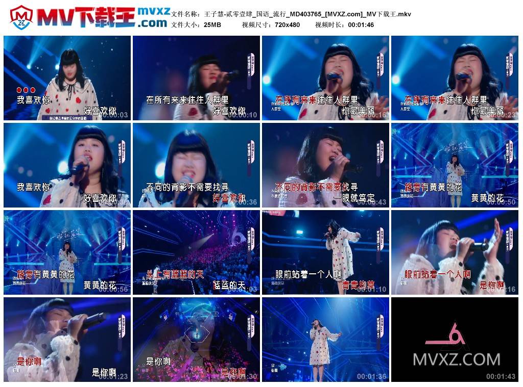 王子慧-贰零壹肆_国语_流行_MD403765